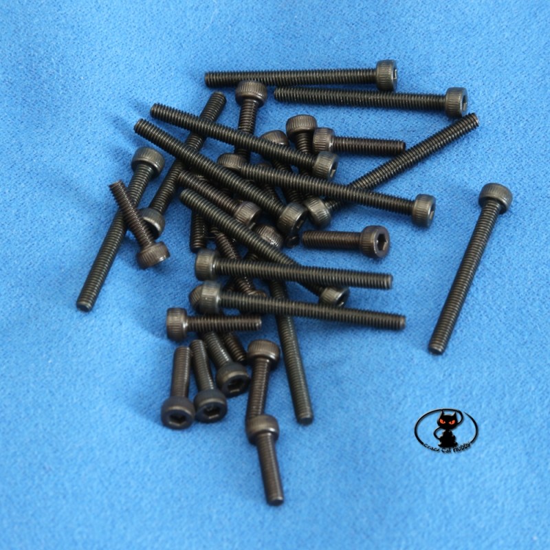 Viti M2x20 mm testa cilindrica brunite brugola