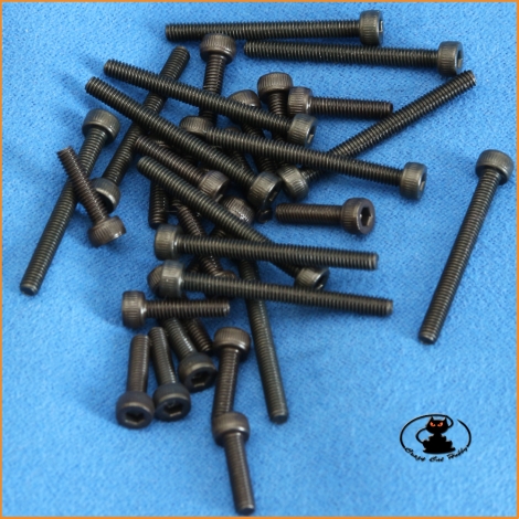 M2,5x25 hex socket cap burnished screws ( 10 pcs )