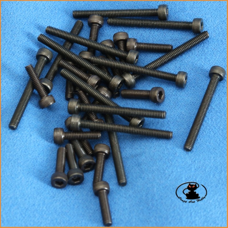 M2,5x10 hex socket cap burnished screws ( 10 pcs )