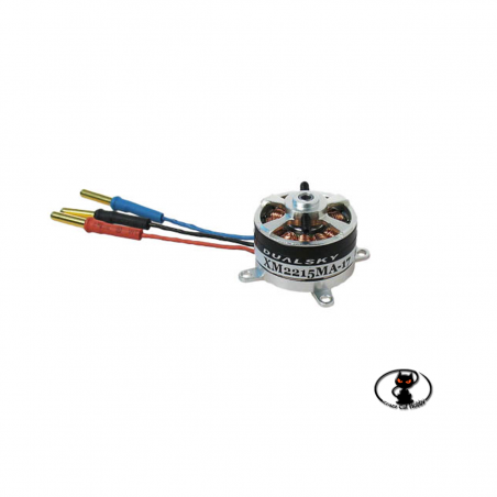 DS55528 micro brushless motor for park / slow flyer aircraft