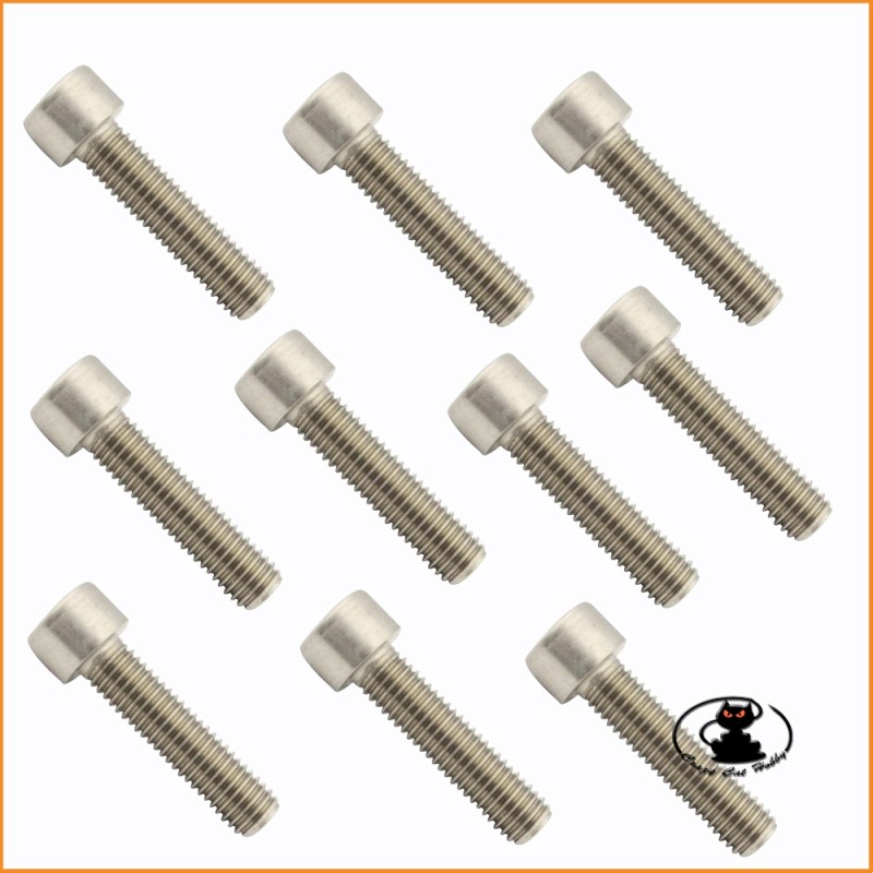 M4x25 mm vite testa cilindrica zincate brugola