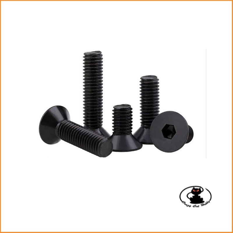 Viti testa svasata brugola brunite M3x6 mm - 10 pezzi