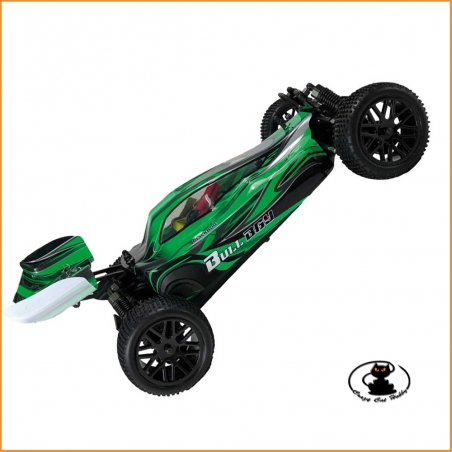 BUGGY EVO 1/10 RTR BRUSHED  GREEN 1:10 - BB94307
