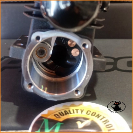 Crankshaft SPecial Detail Picco P3TT V2 2022 - .21 Engine  for Off Road Buggy by Marchetti Model Service