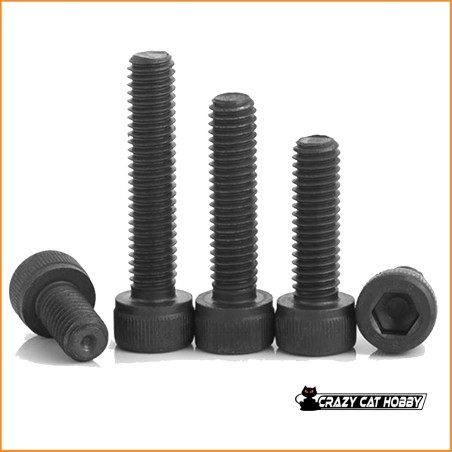 M3x6 Viti Testa Cilindrica Brunite Brugola ( 25 p.zi ) 9915 Carbon Cavalieri