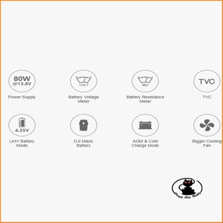 e680 Sky RC battery charger