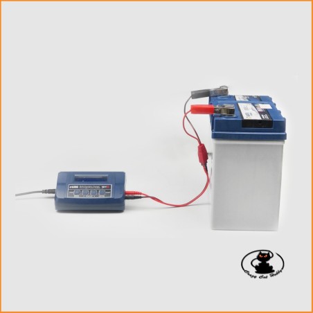 e680 Sky RC battery charger