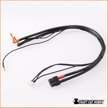 2S CHARGING LEAD 30cm (4/5mm,2mm) - RP-0221 RUDDOG - 4052133012388