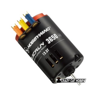 MOTORE ELETTRICO BRUSHLESS  QUICRUN 3650SD G2 13.5T BLACK - HOBBYWING 30404313 - 6938994412131