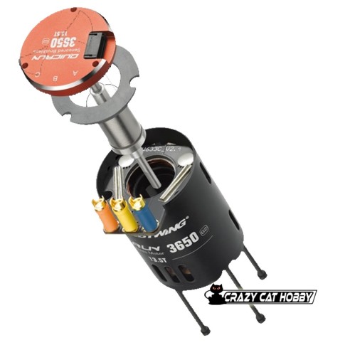 HOBBYWING BRUSHLESS MOTOR QUICRUN 3650SD G2 13.5T BLACK - 30404310