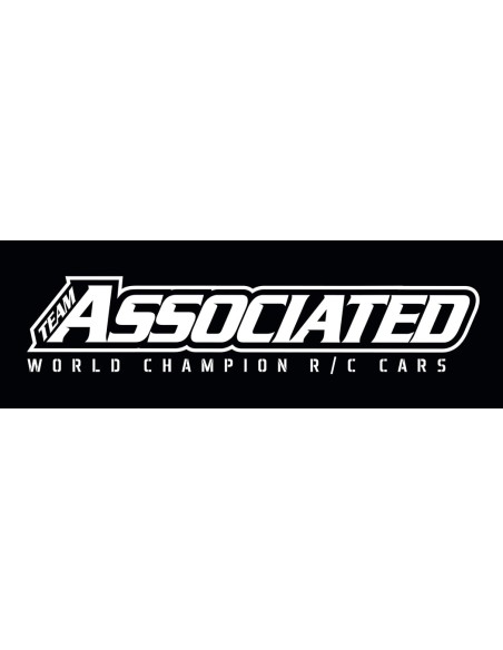 Team Associated Electric